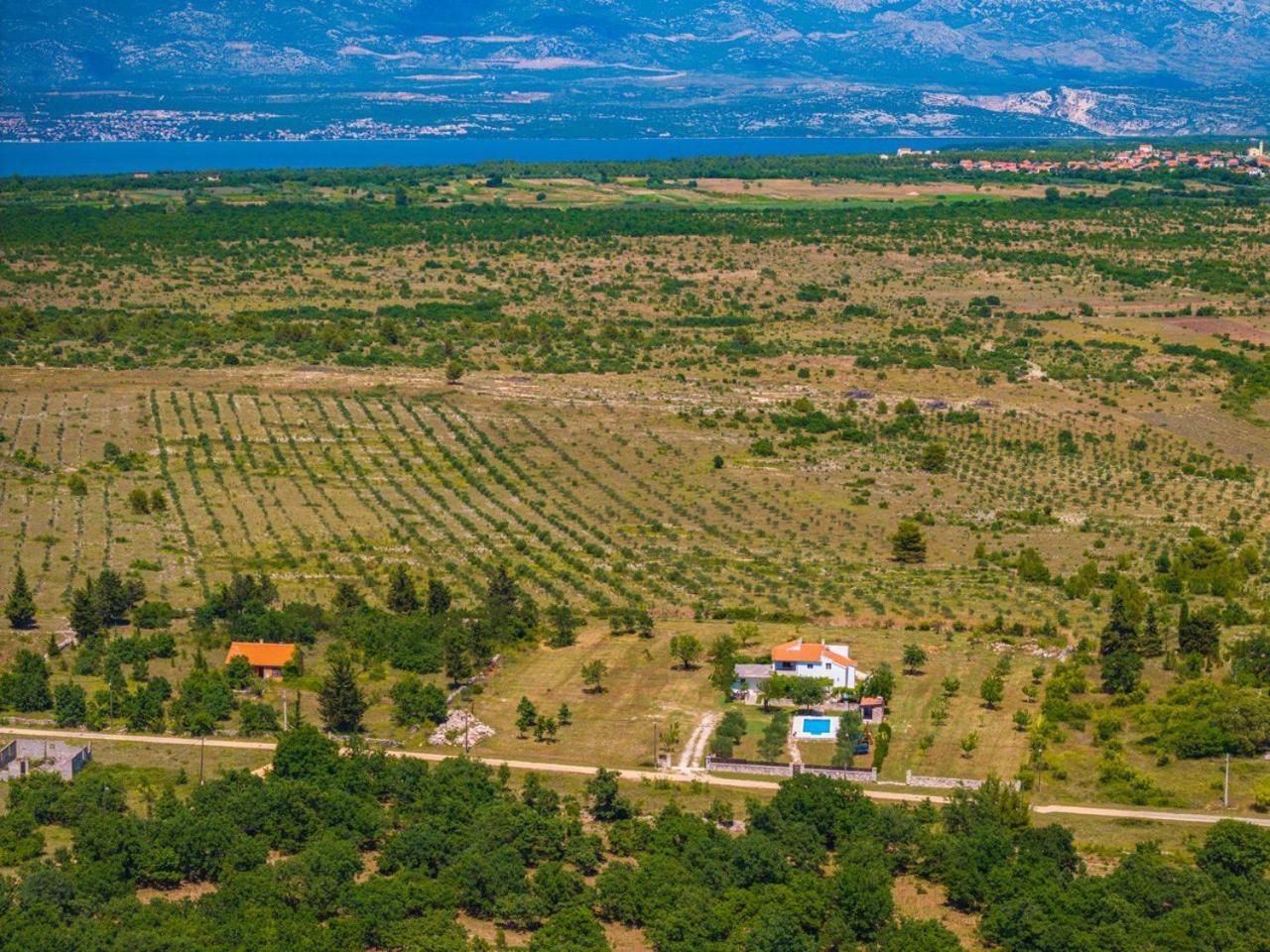 Villa Mandorla With Private Pool زادار المظهر الخارجي الصورة